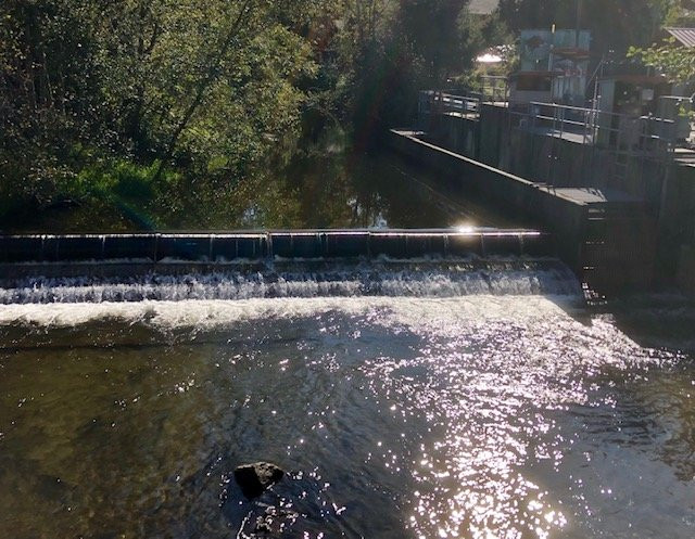 Issaquah Salmon Hatchery景点图片