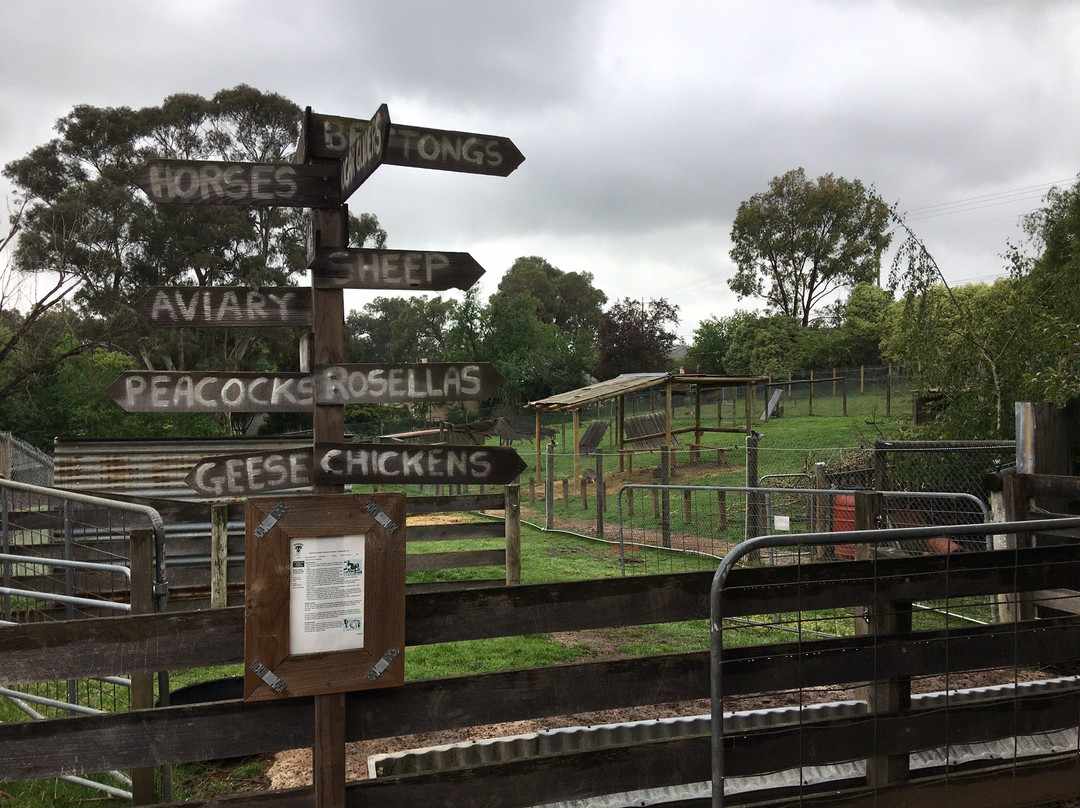 A Twist Of Willow主图