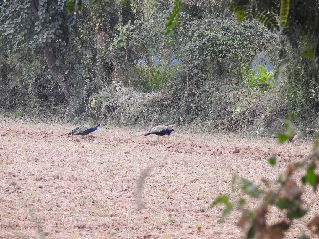 The Country Retreat Farmstay主图