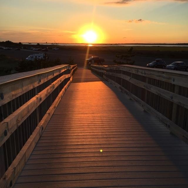 Cupsogue Beach County Park景点图片