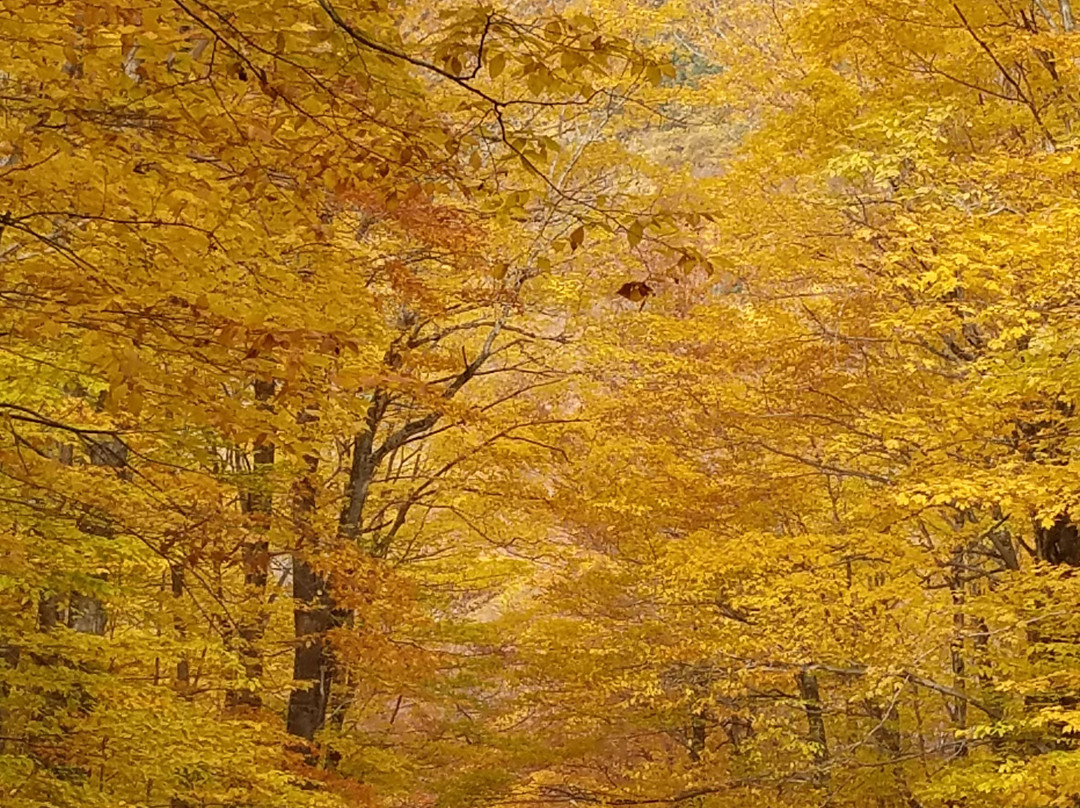 Lincoln Gap Road-佛蒙特必去景点