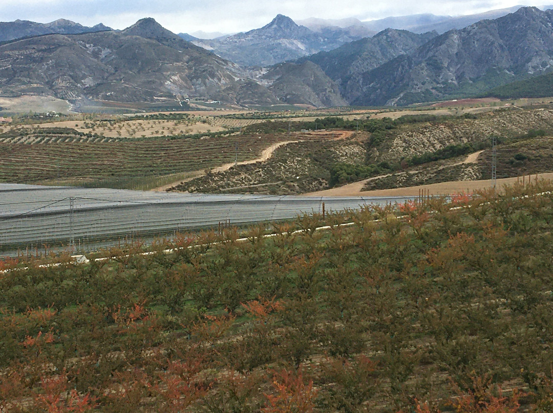 Parque Nacional de Sierra Nevada景点图片