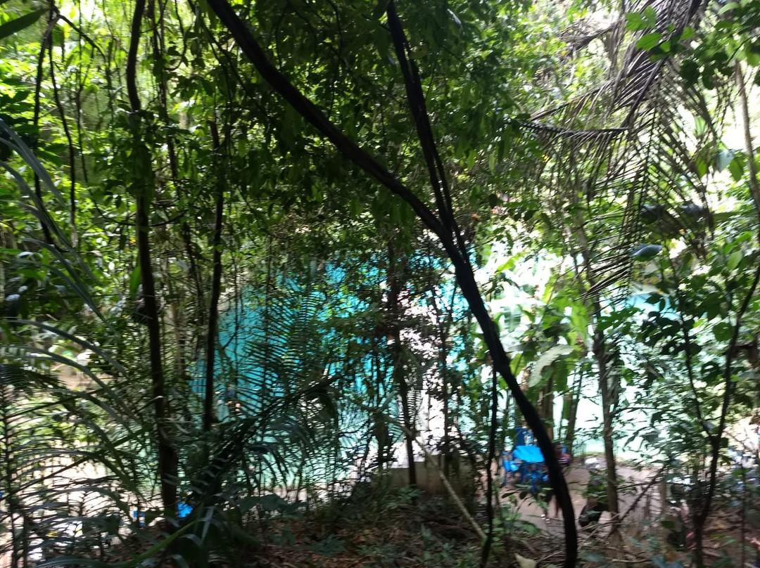 Santuario Ecologico Santa Teresa景点图片