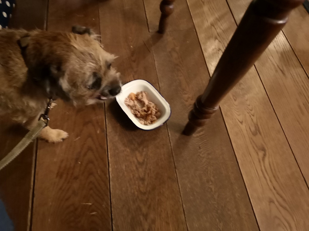 城堡大酒店主图