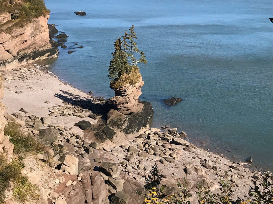 Go Fundy Tours-圣约翰必去景点