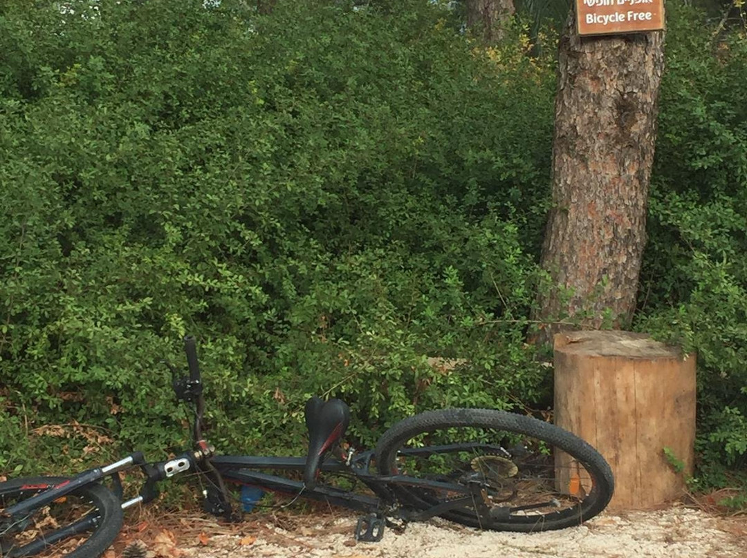 Herbert Samuel Bayit Bagalil Boutique主图