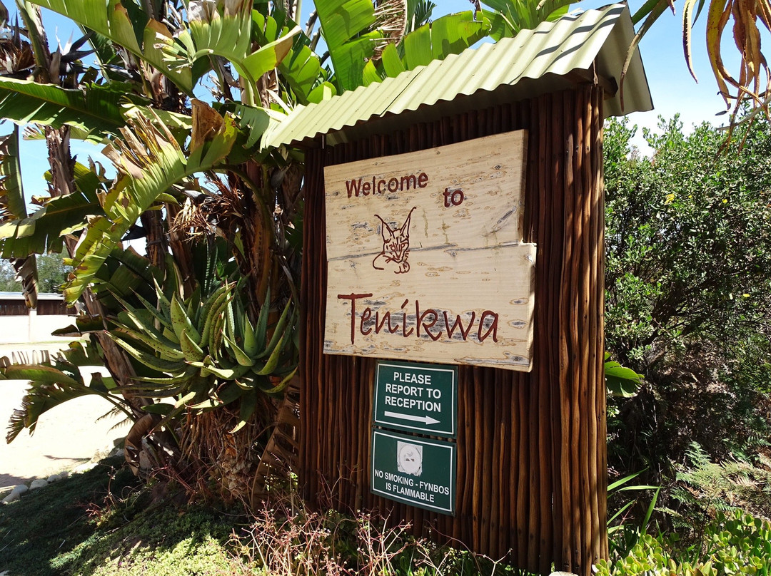 Tenikwa Wildlife Awareness Centre景点图片