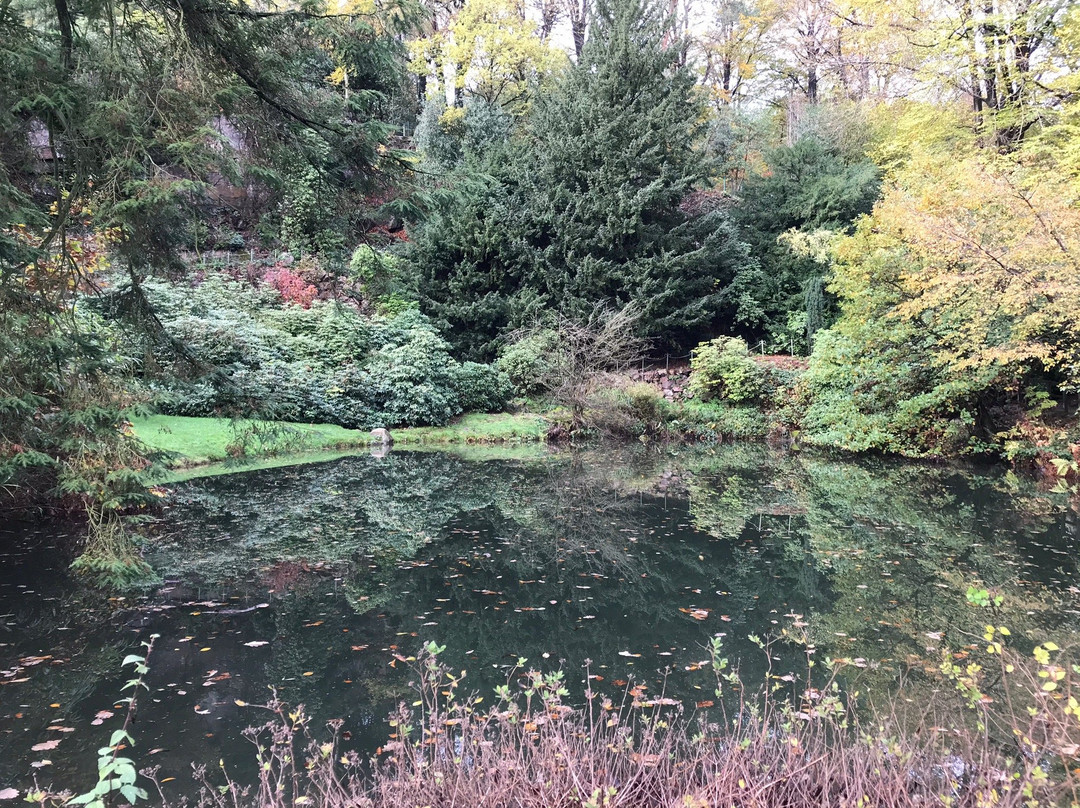 Vorwerkpark景点图片