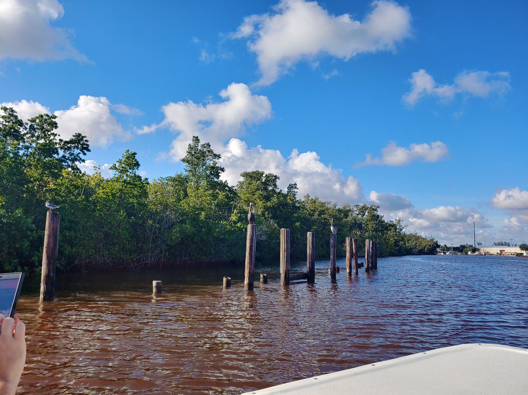 Everglades Florida Adventures景点图片