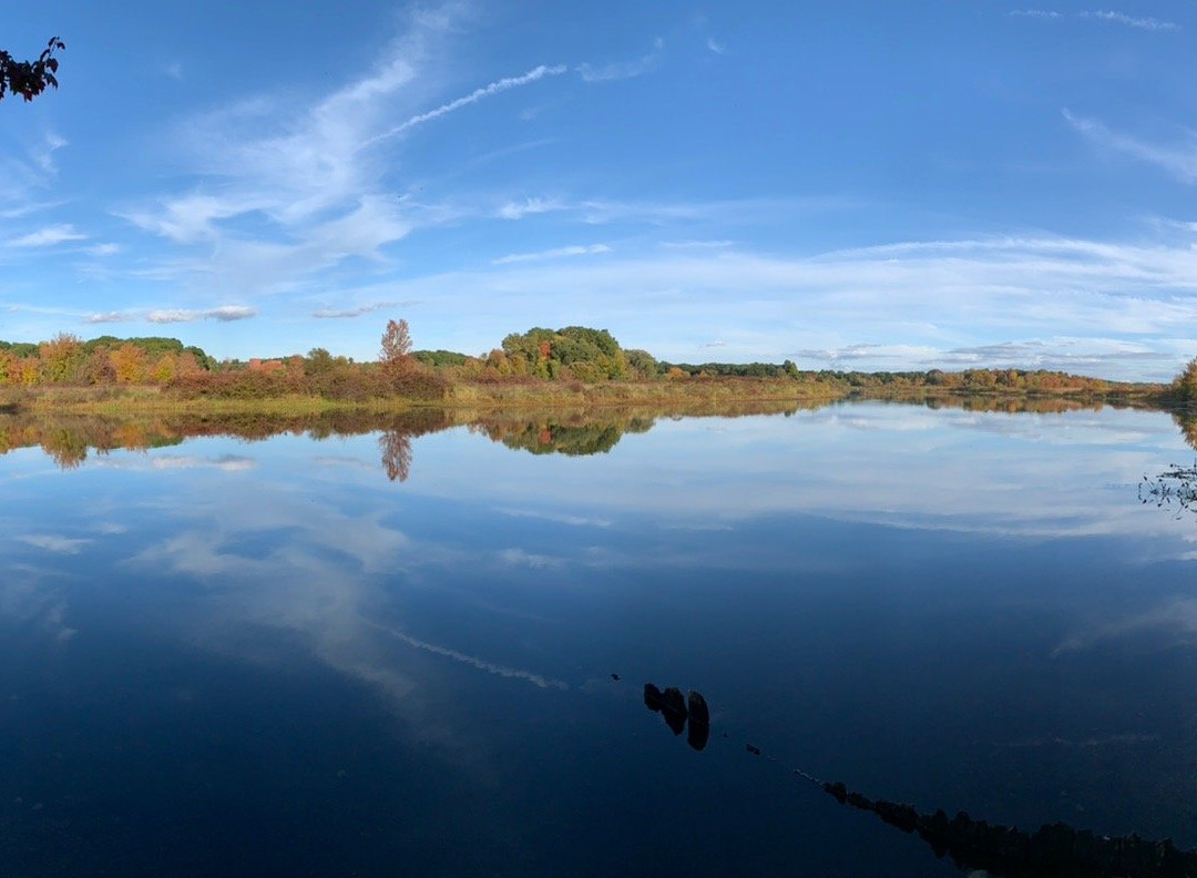 Cutler Park-尼达姆必去景点