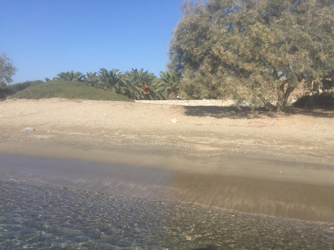 Livadi Beach-Schinoussa必去景点