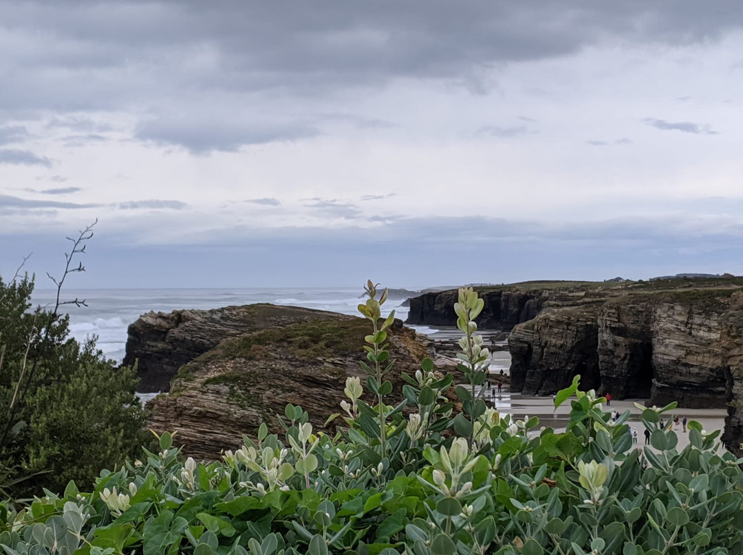 Complejo Rural Lar de Vies主图