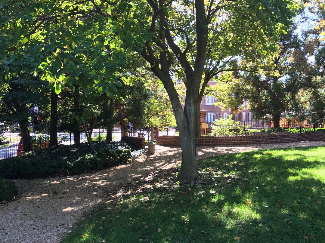 敦巴顿楼-华盛顿特区必去景点