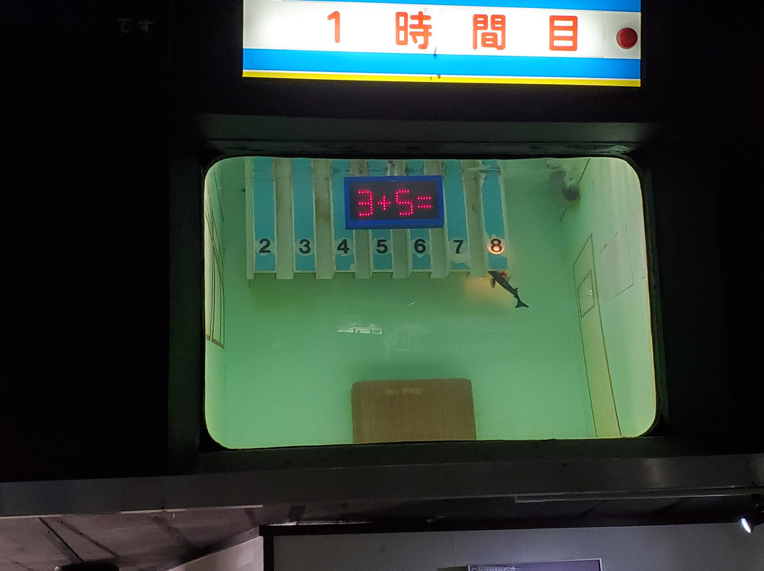 Keikyu Aburatsubo Marine Park-三浦市必去景点