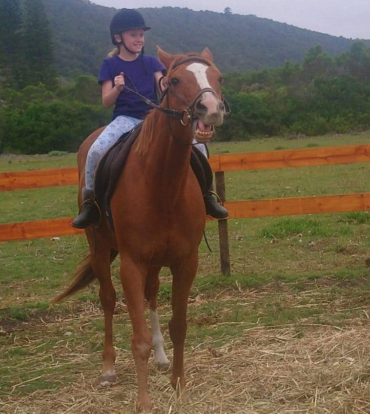 K-Rides Equine Education And Energy Centre景点图片