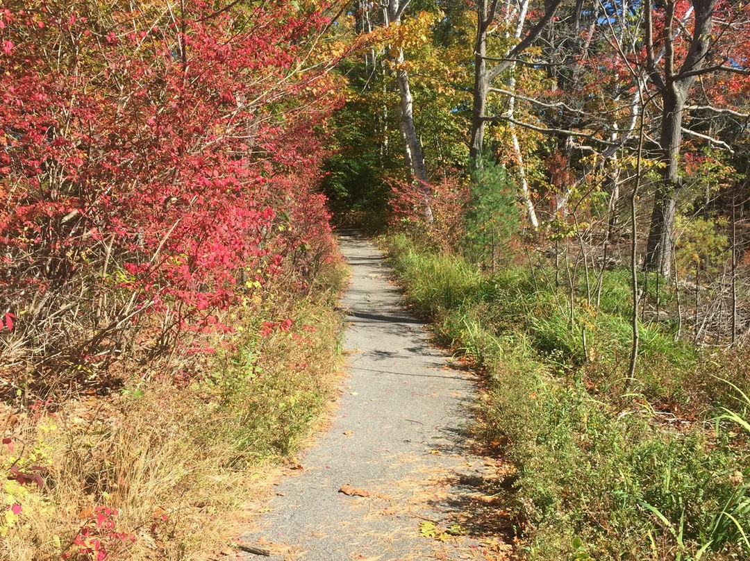 Franciscan Guest House主图