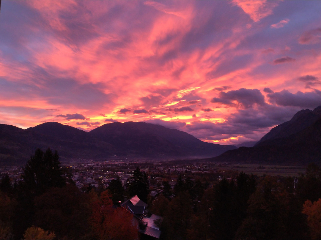 Hotel Gasthof Gribelehof主图