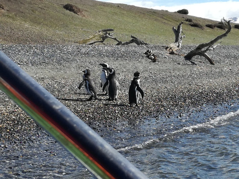 Tierra del Fuego Aventura-乌斯怀亚必去景点