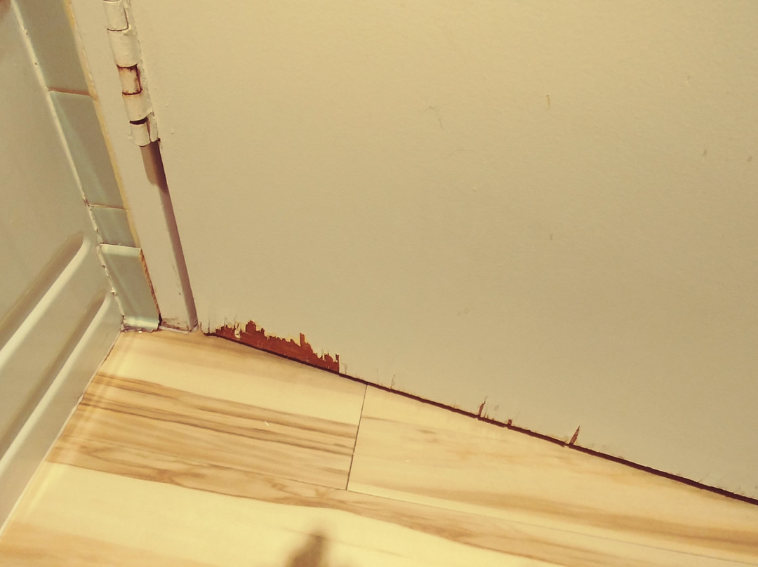 Travelodge by Wyndham Sydney主图