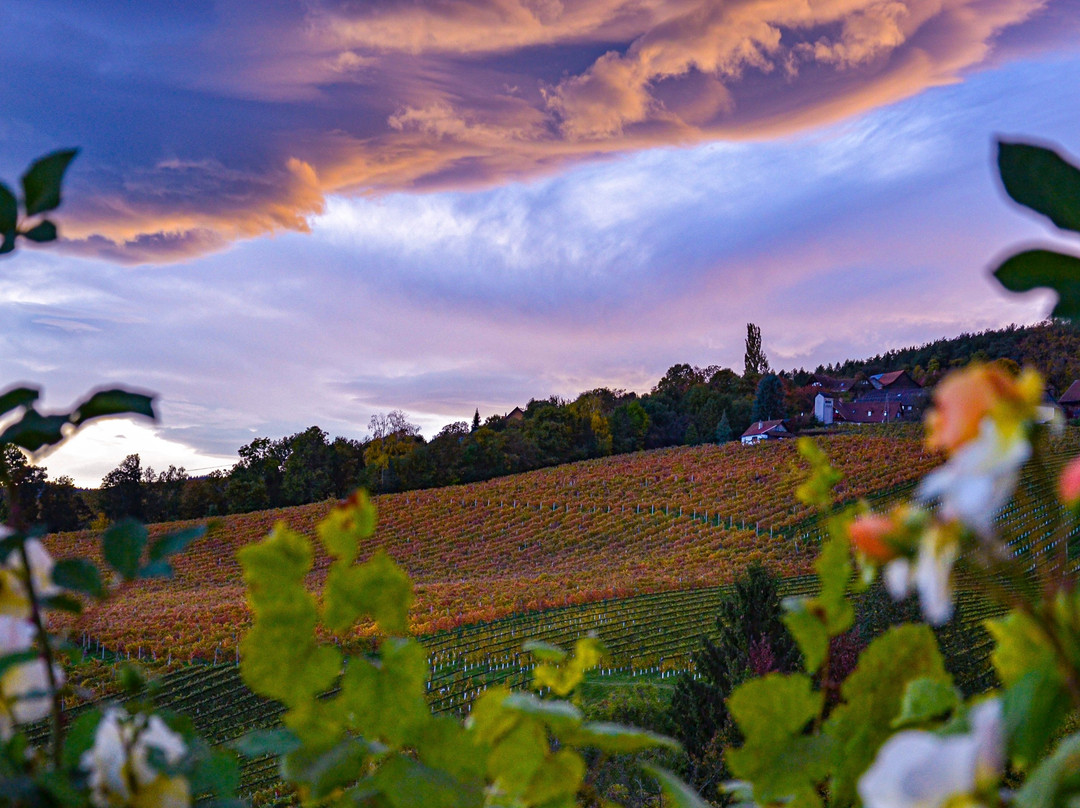 Weingut Weber