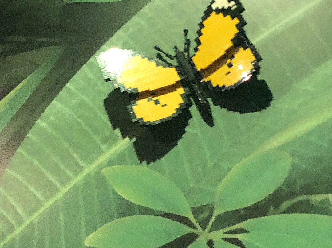 Legoland Discovery Center-坦佩必去景点