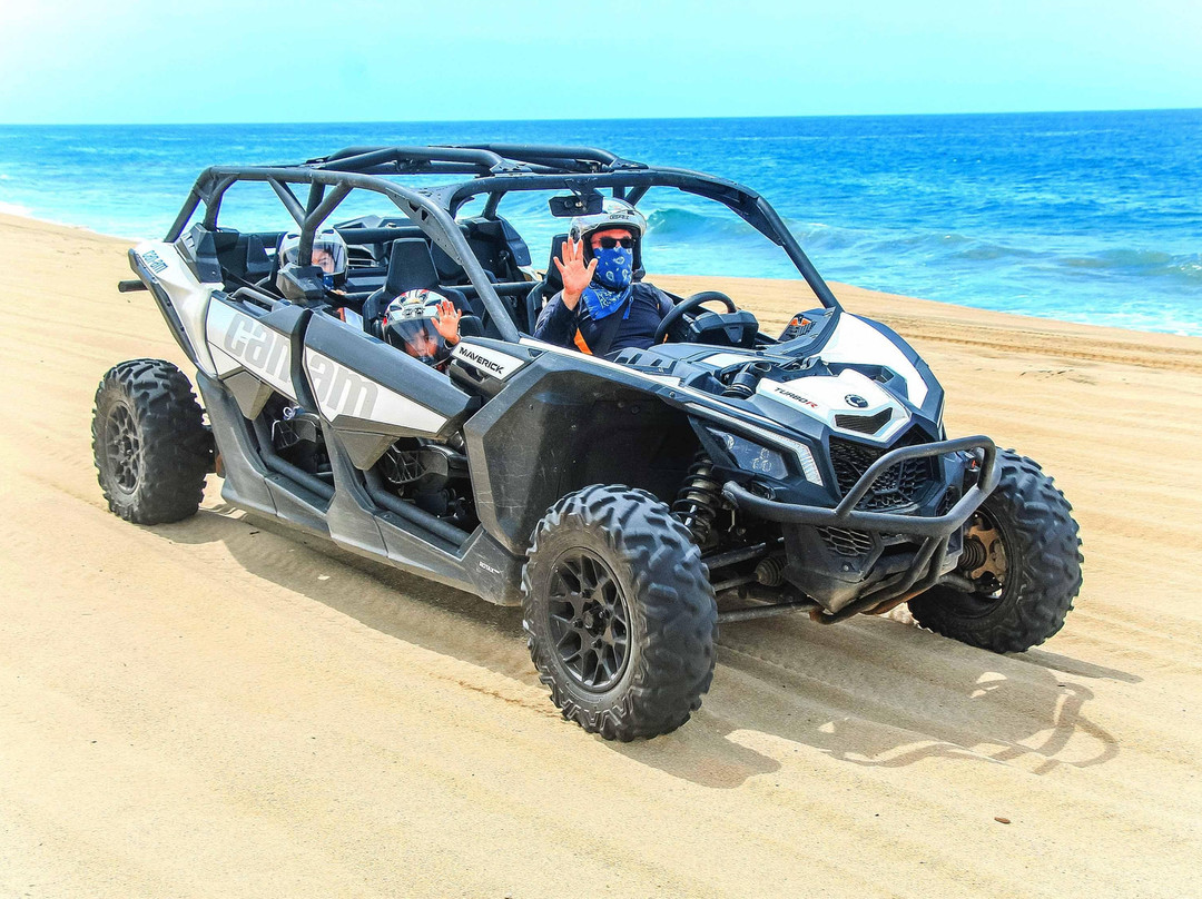 Tours Mexico-卡波圣卢卡斯必去景点