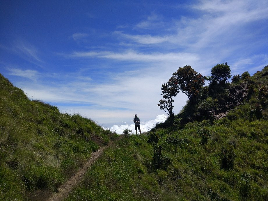 Mount Merbabu National Park-沙拉迪加必去景点