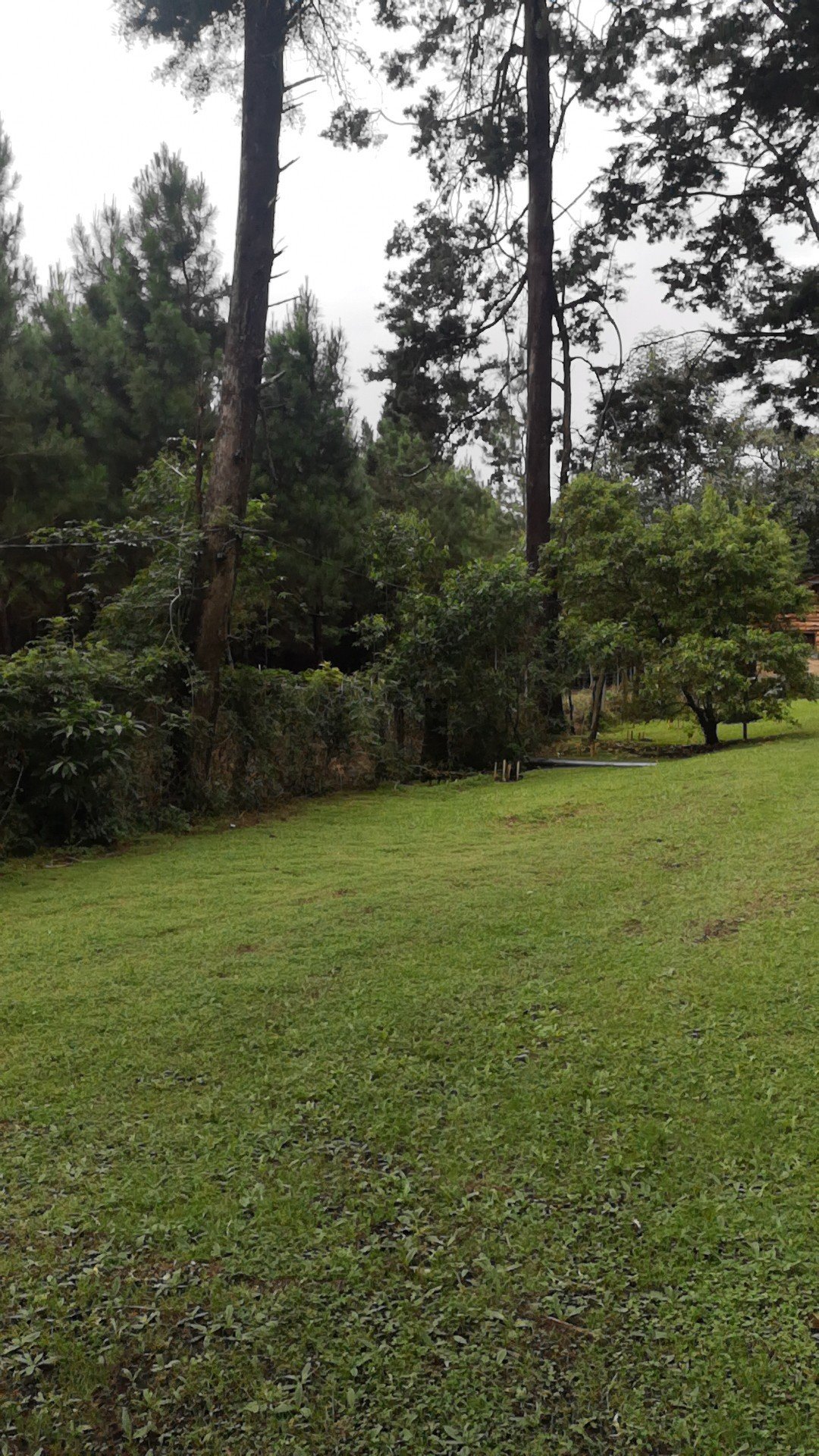 Cabañas Las Ardillas-官方