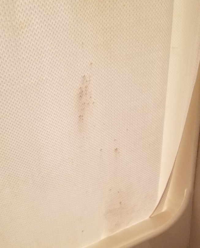 Super 8 by Wyndham Cornelia主图