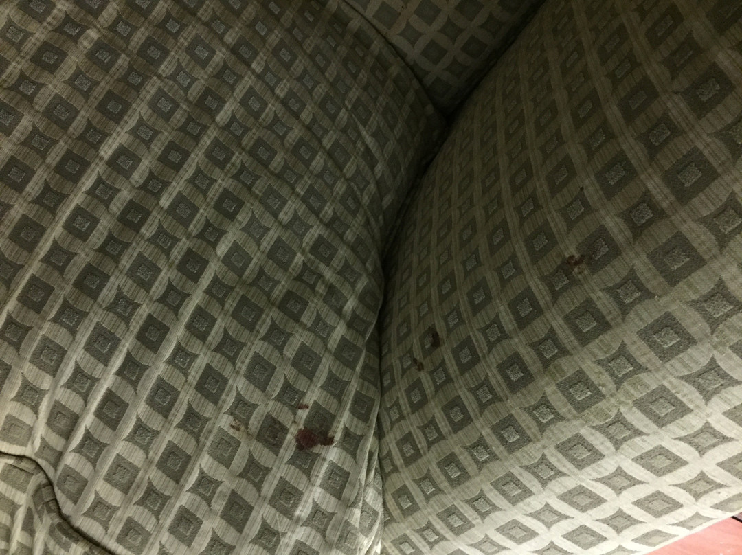 Super 8 by Wyndham San Marcos