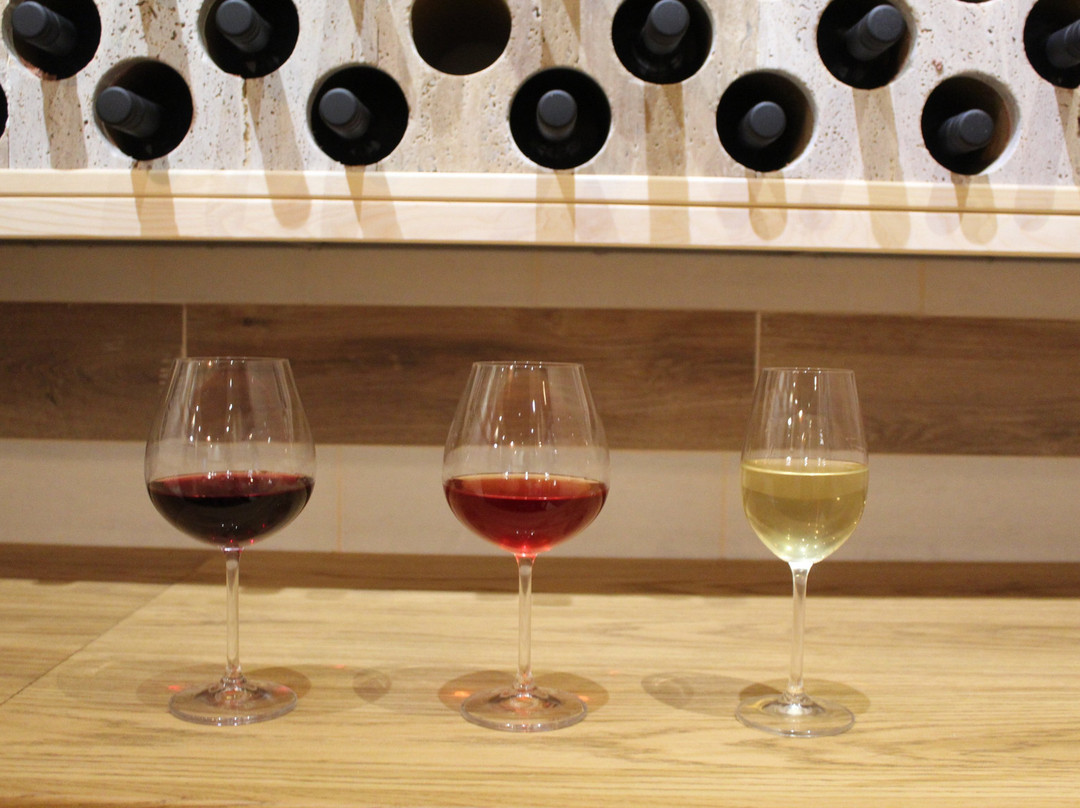 Winery Vucica - Wine tasting景点图片