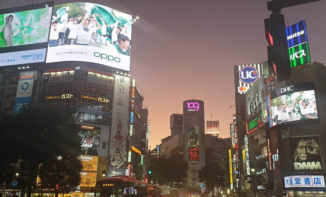 涩谷全向十字路口景点图片