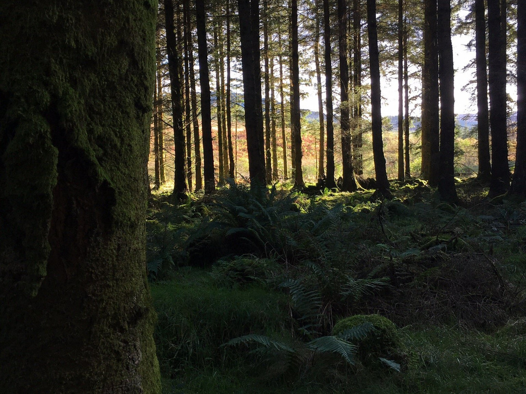 The Cross Keys Hotel主图