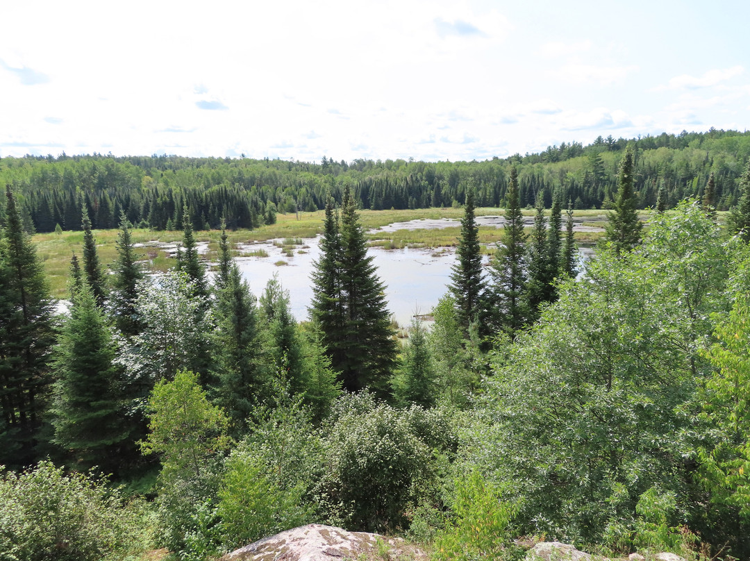 Beaver Pond Overlook景点图片