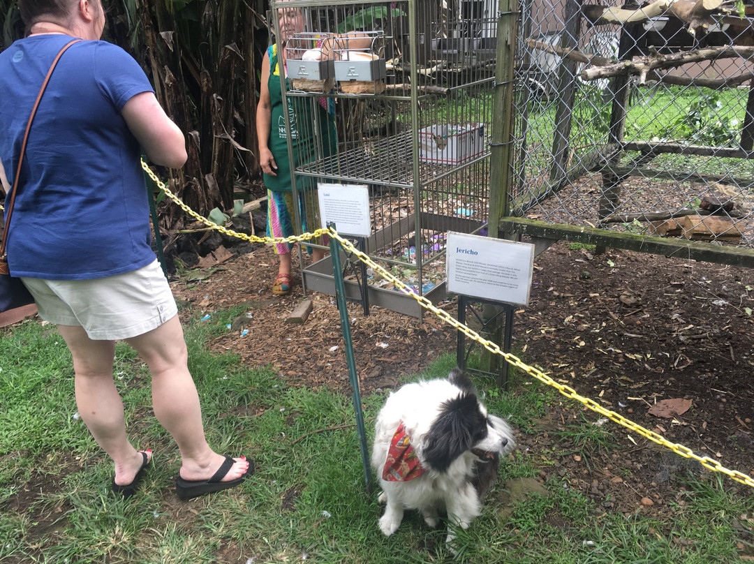 海景道旅游景点-Hawaii's Local Buzz