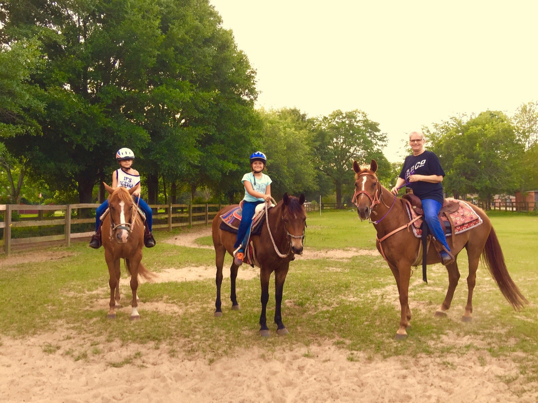 Horse Rides of Pensacola景点图片