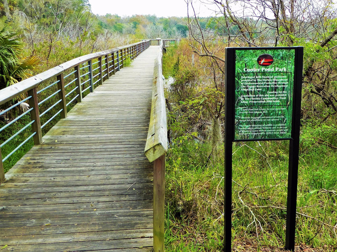 Floral City旅游景点-Cooter Pond Park