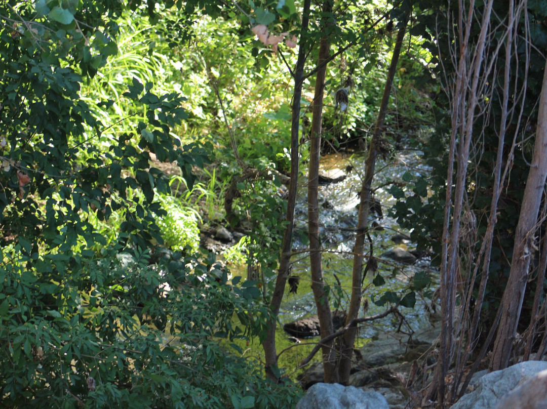 Alamo Creek Bike Trail景点图片