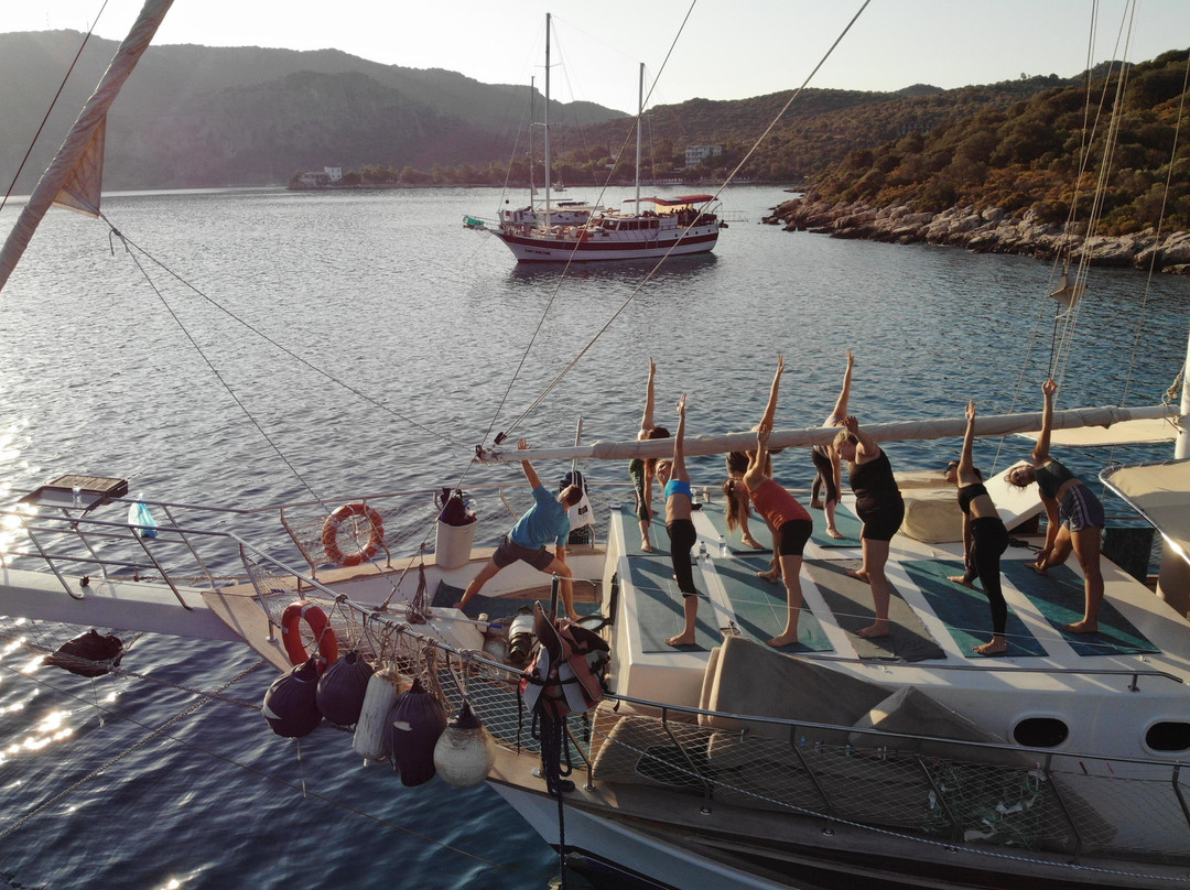 SailFit Retreats景点图片