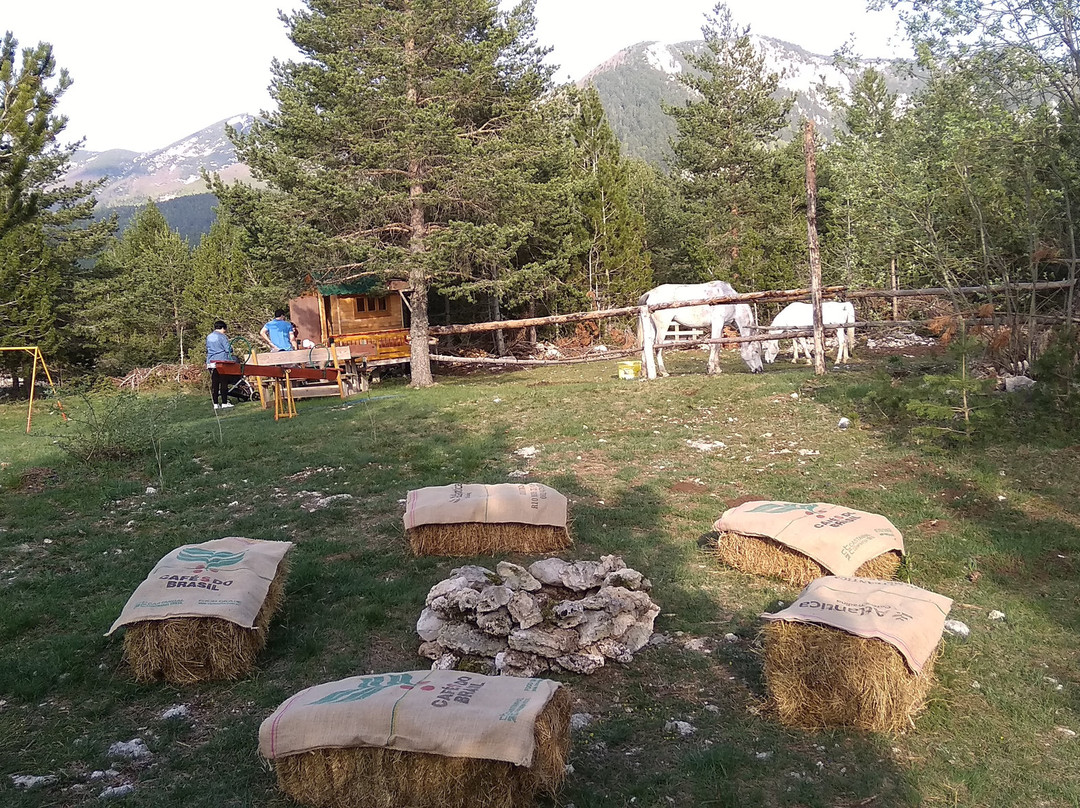 Blidinje Nature Park旅游攻略图片
