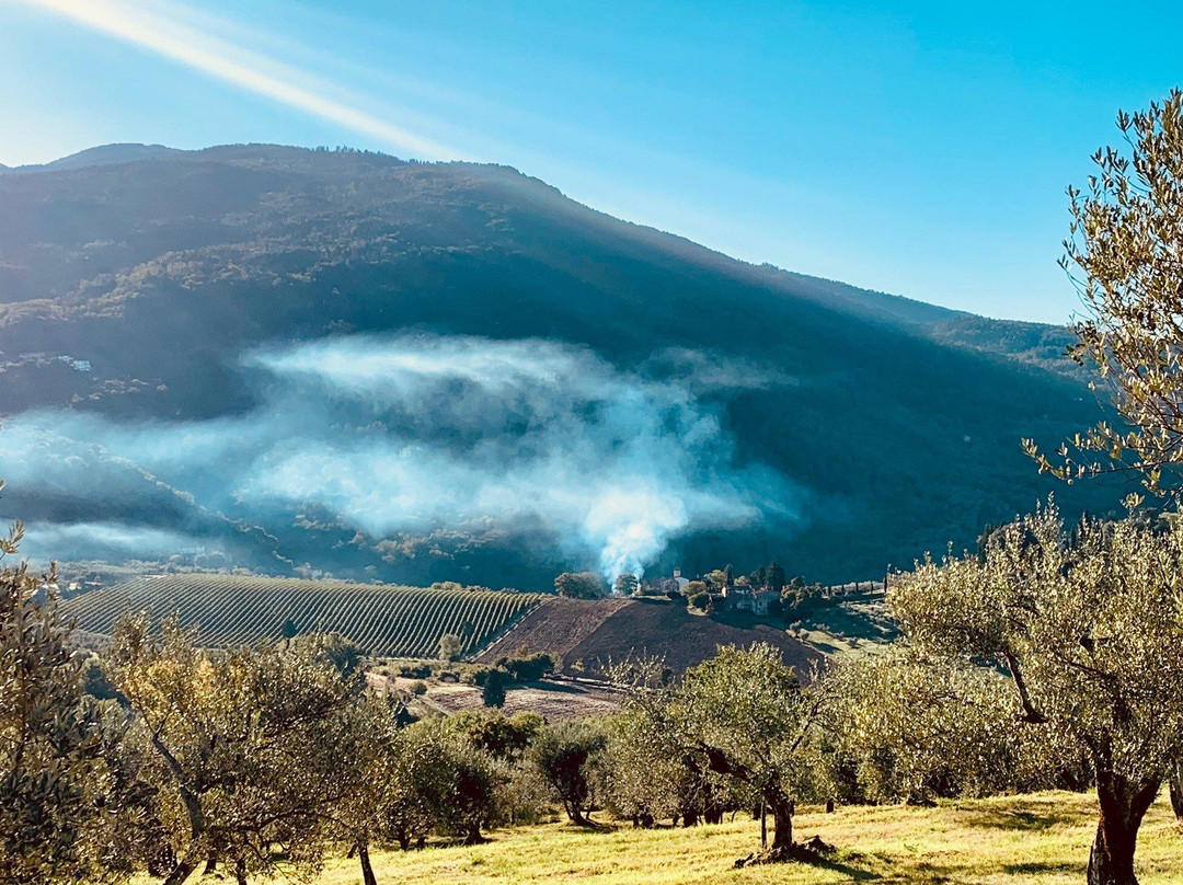 Agriturismo La Fornella Dell'Anita主图