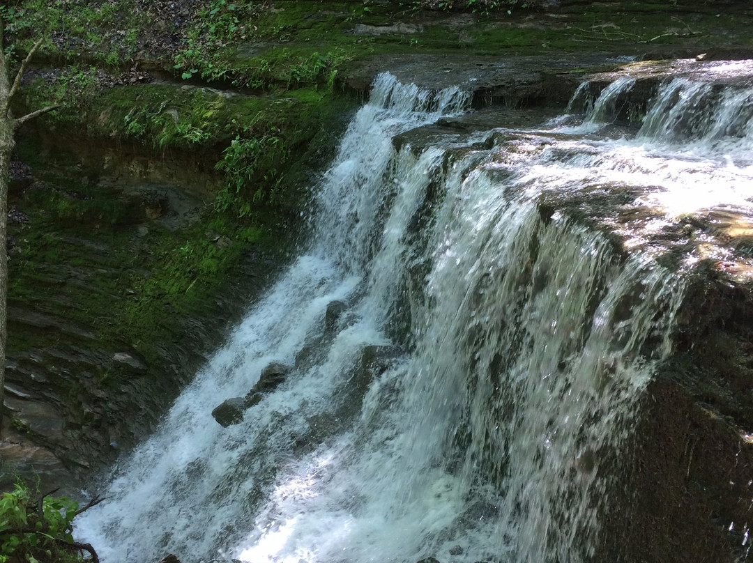 Jackson Falls-Williamsport必去景点