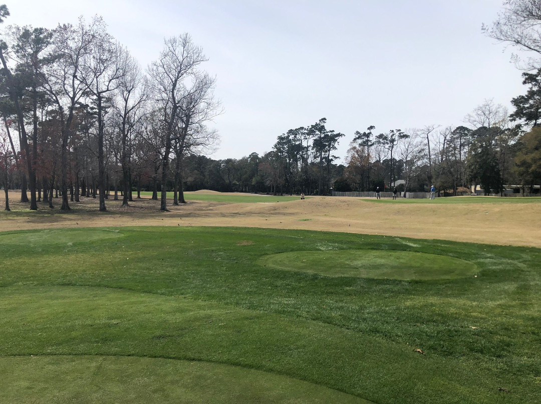 Arcadian Shores Golf Club-美特尔海滩必去景点