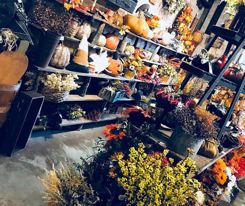 The Delmonte Market-Elkins必去景点