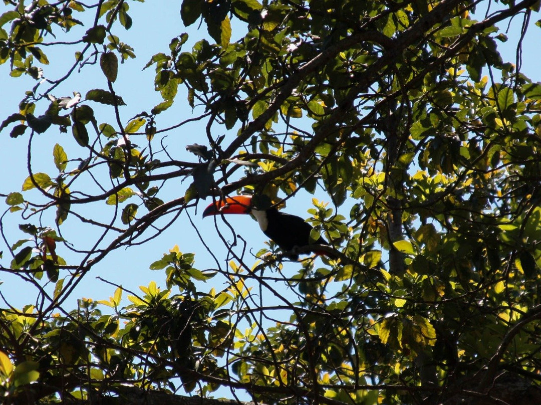 Memorial do rio Tiete - Barra Bonita-Barra Bonita必去景点