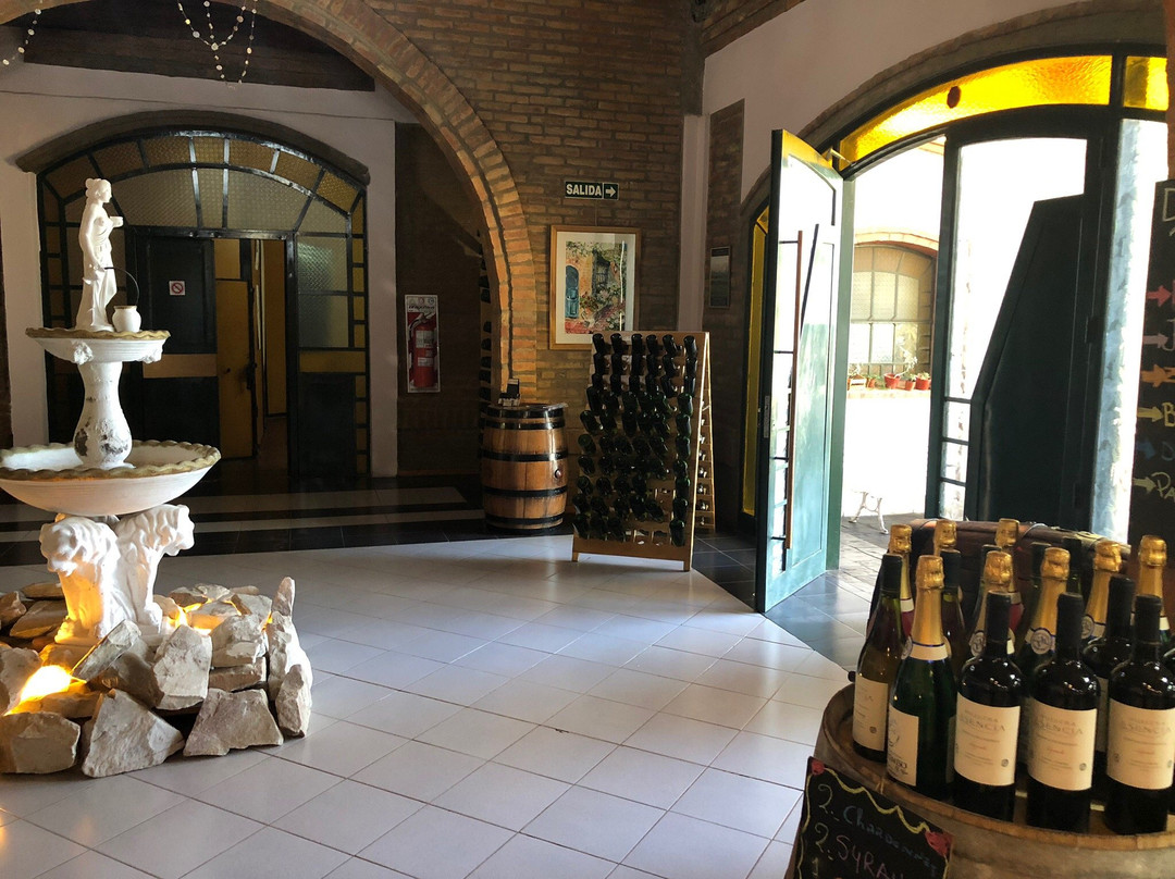 Bodegas Y Vinedos Fabril Alto Verde景点图片