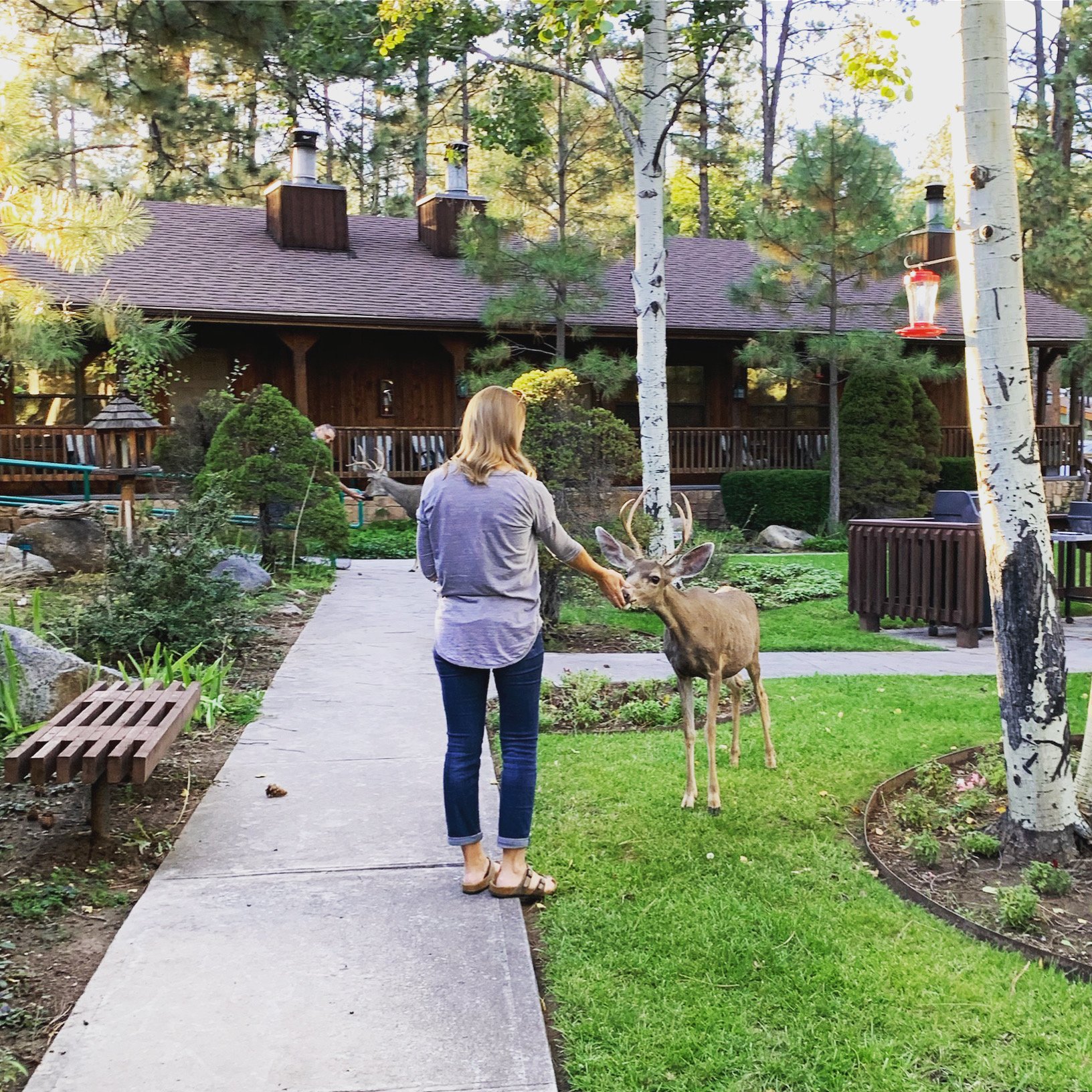Shadow Mountain Lodge and Cabins-浴室