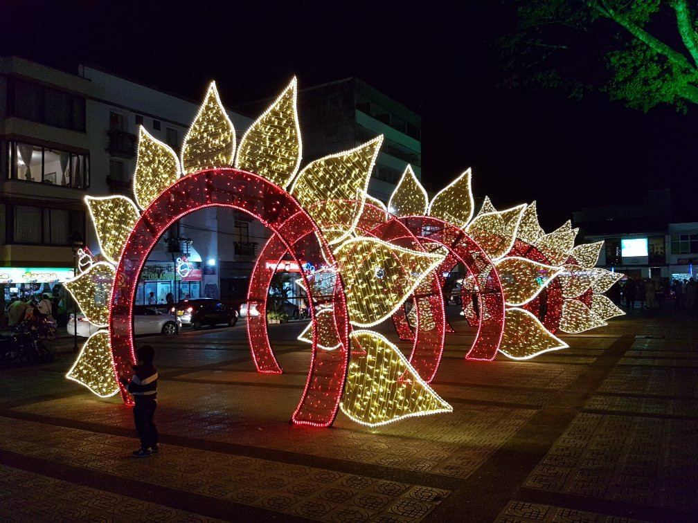 Plaza Bolivar景点图片