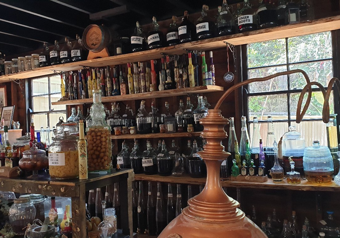 The Vino Bus - Winery Tours-布里斯班必去景点