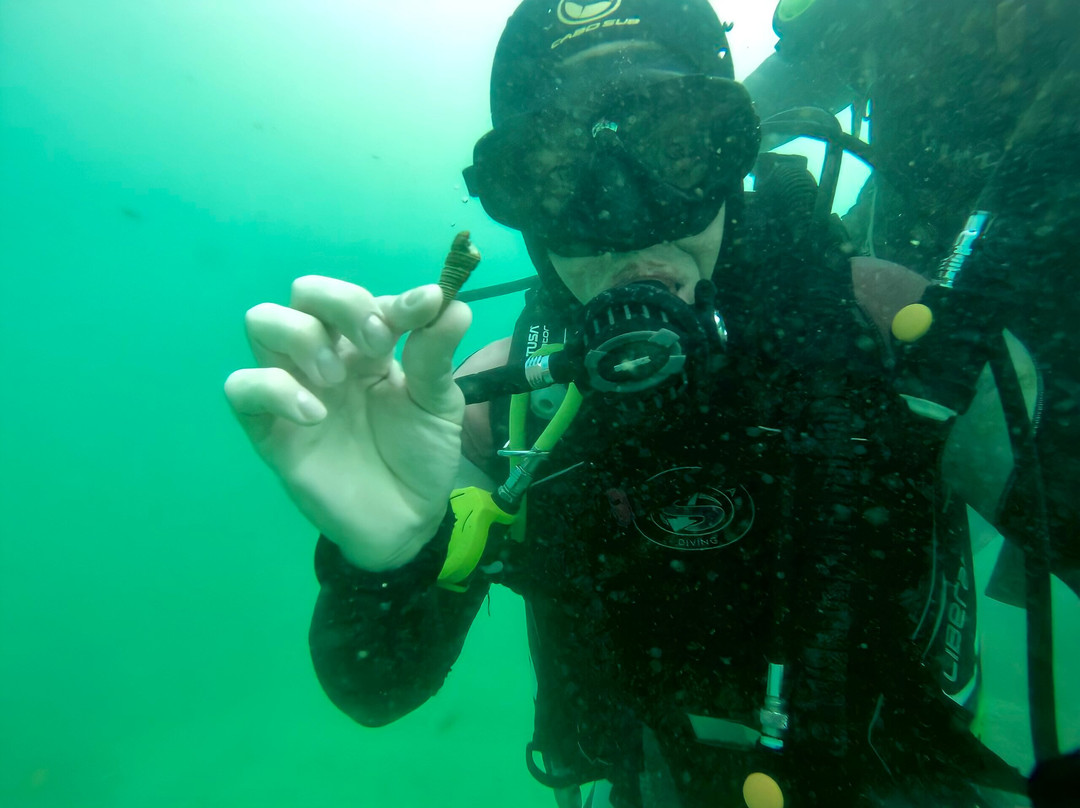 Atacama Diving Centro de Buceo景点图片